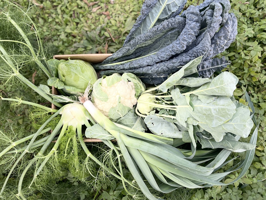Mix box of winter-vegetables (box of 4.5 kg)
