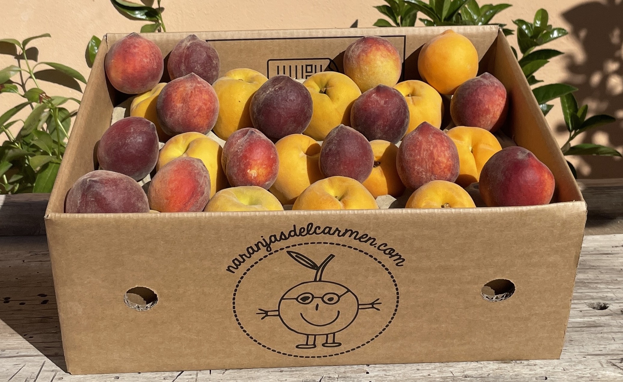 PDP caja melocotones