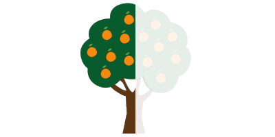 Árbol de naranjas<br>(mitad de cosecha)