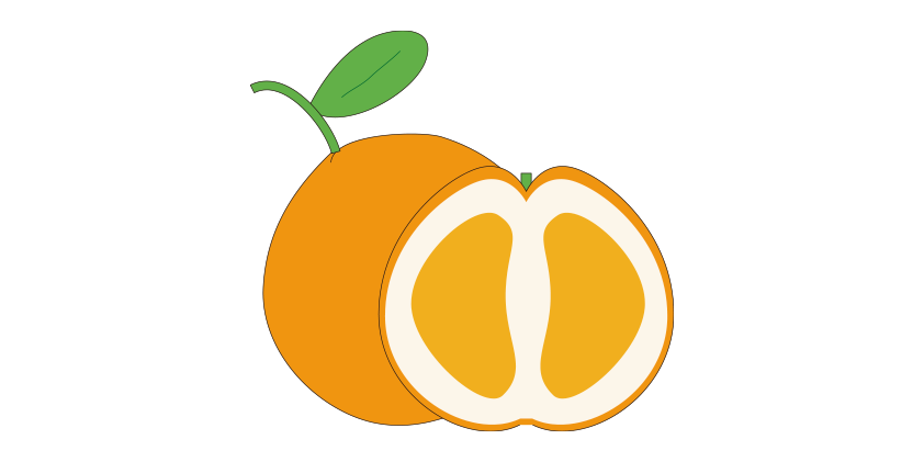 Salustiana Orangen mit kleineren Früchten<br>(10kg)